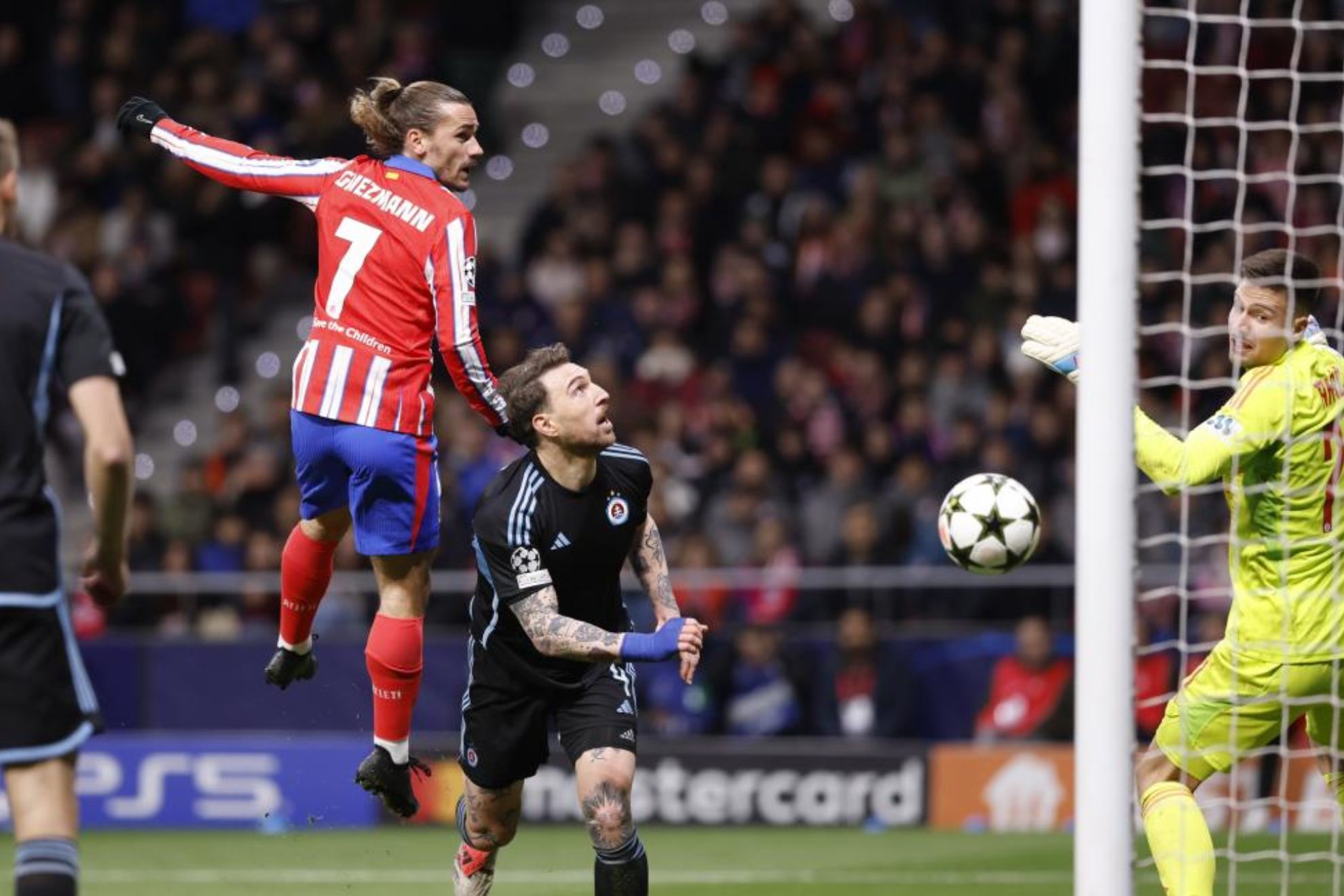 嗅觉和顽强 嗅觉和顽强