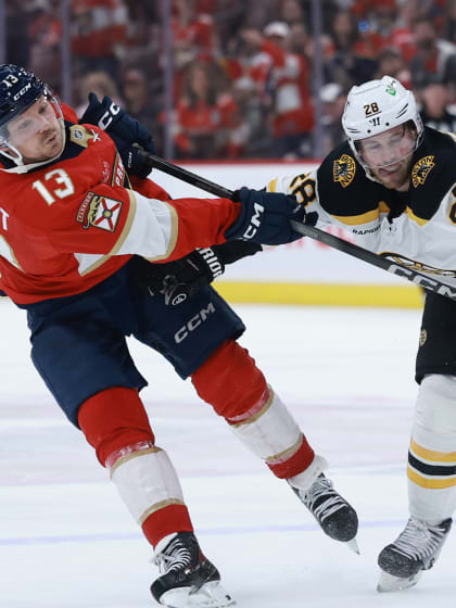 将的比例 将的比例