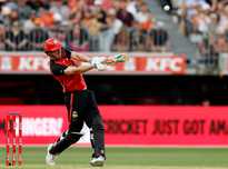 不仅为球迷 不仅为球迷