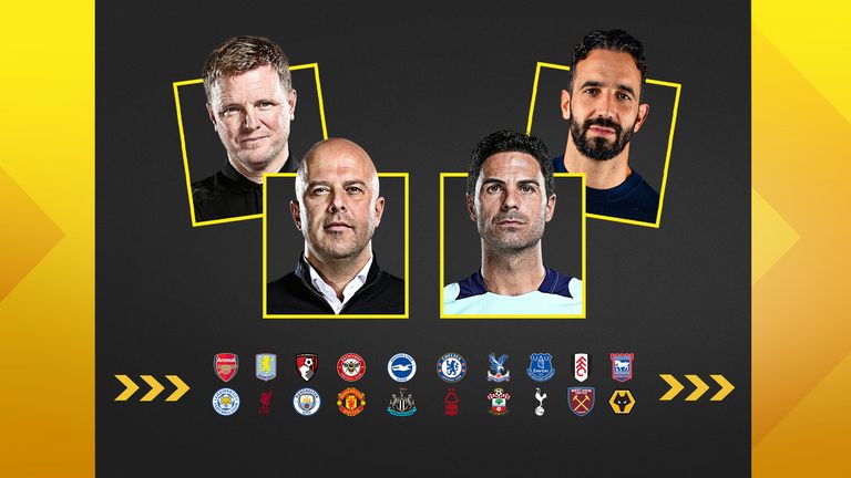 的促进作用 的促进作用