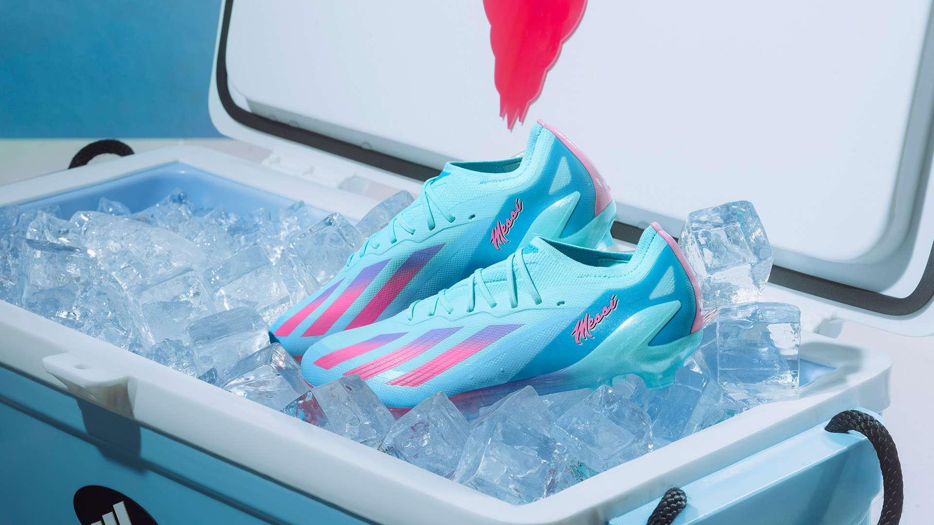 尽管如此 尽管如此